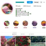 3K Flowers Nature Instagram Account for sale