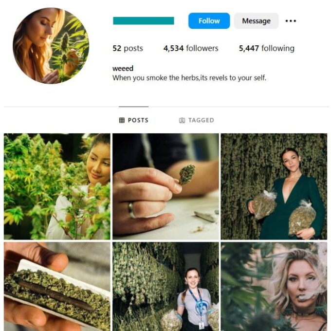 4K Weed Cannabis Instagram Account for sale