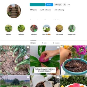 5K Plants Vegetation Instagram Account for Sale