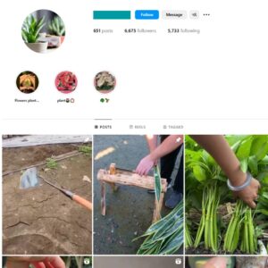 6K Plant Pot Gardening Instagram Account for Sale