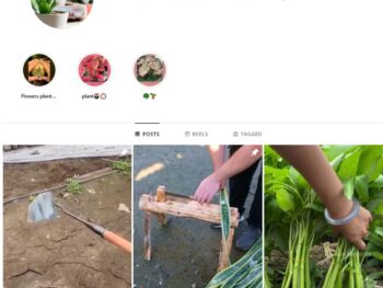 6K Plant Pot Gardening Instagram Account for Sale