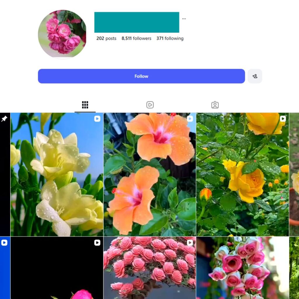 8K Nature Photography Instagram Account for Sale