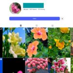 8K Nature Photography Instagram Account for Sale