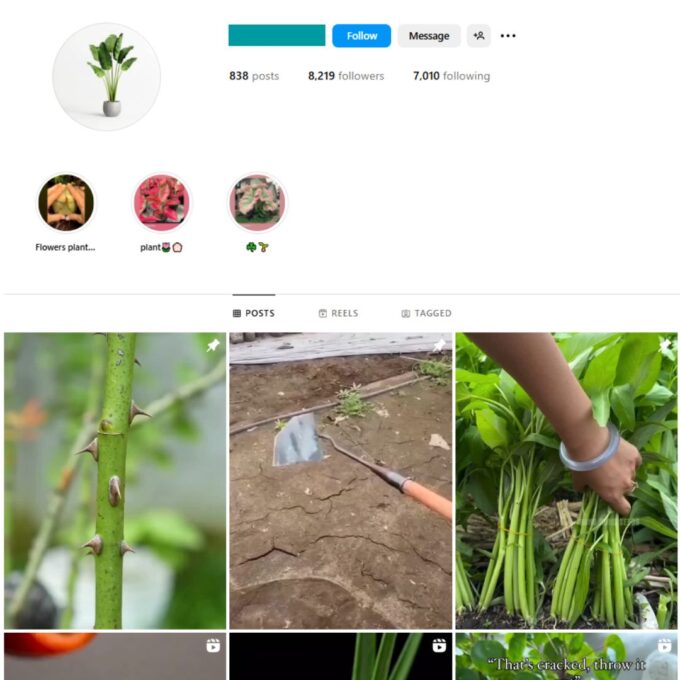 8K Plant Pot Gardening Instagram Account for Sale