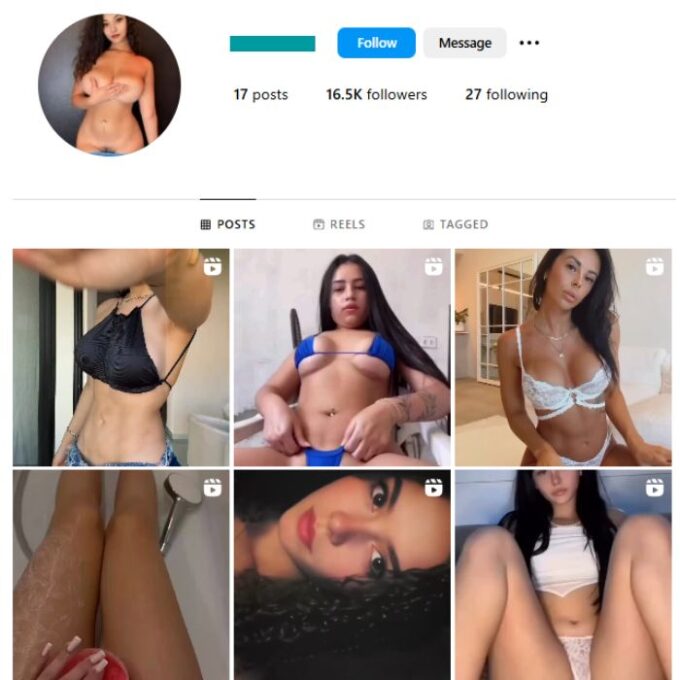 16K Adult Models Instagram Account for sale