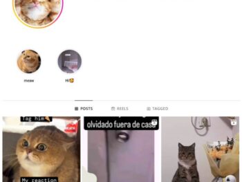 1K Cats Pets Instagram Account for sale