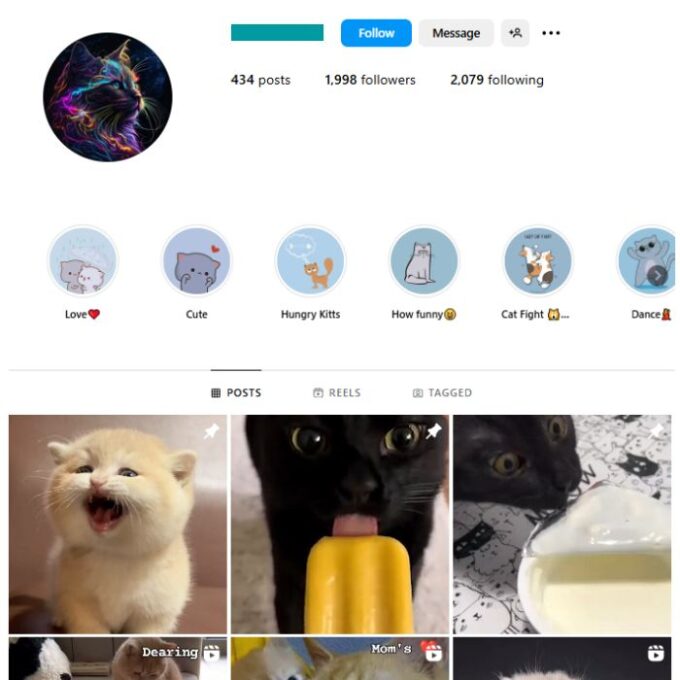 1K Cute Cats Instagram Account for sale