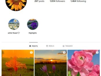 1K Flowers Photography Instagram Account for sale