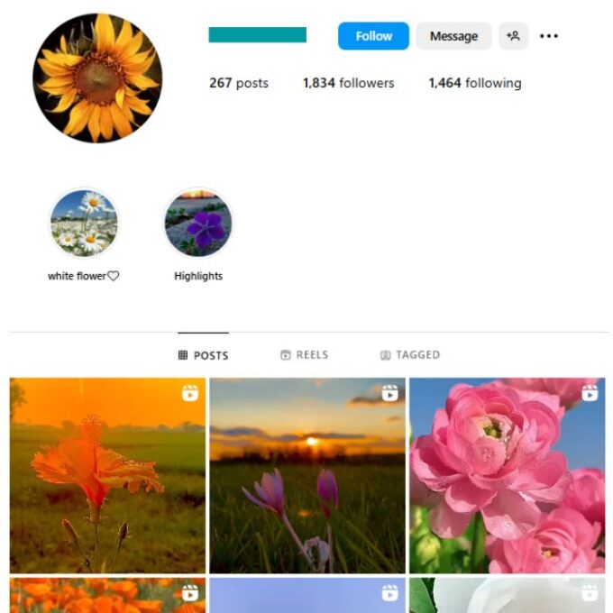 1K Flowers Photography Instagram Account for sale