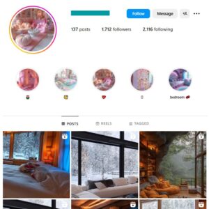 1K Modern Home Decor Instagram Account for sale