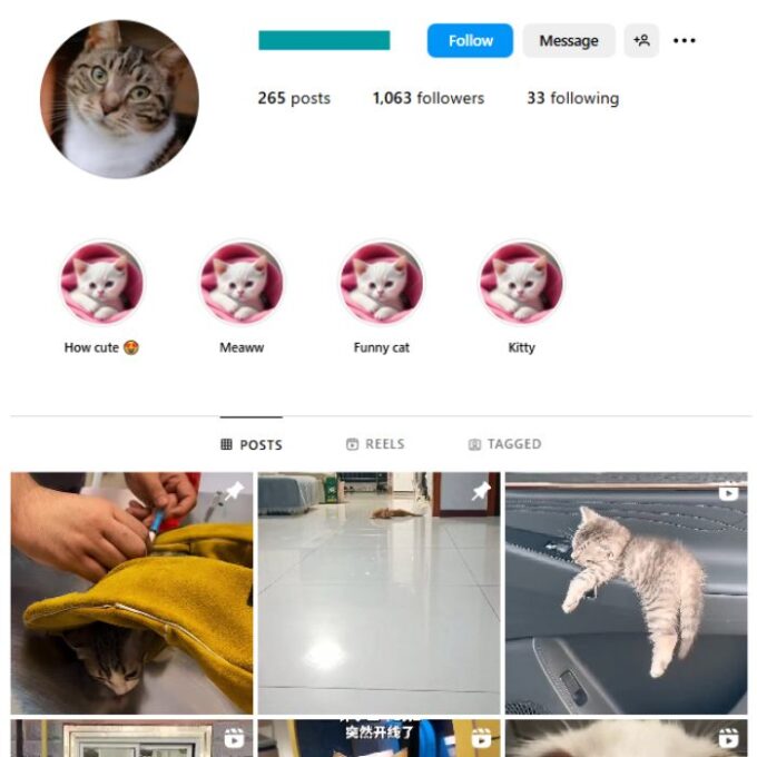 1K Pets Cats Instagram Account for sale
