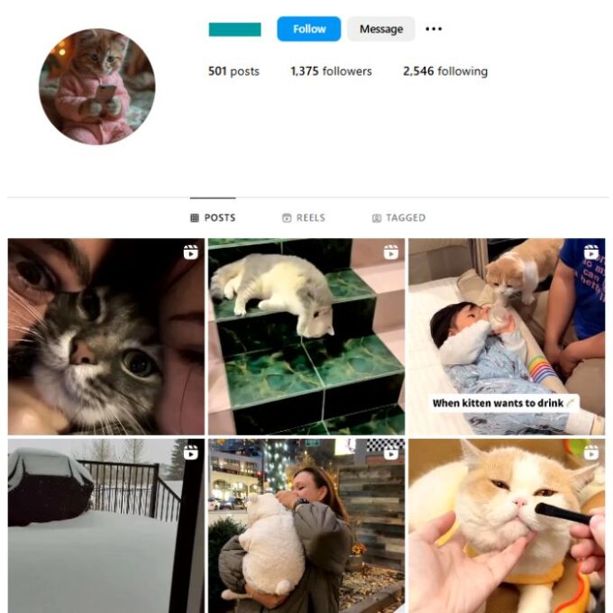 1K Pets Cats Instagram Account for sale