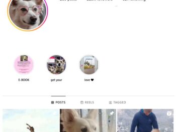 220K Dogs Pets Instagram Account for sale