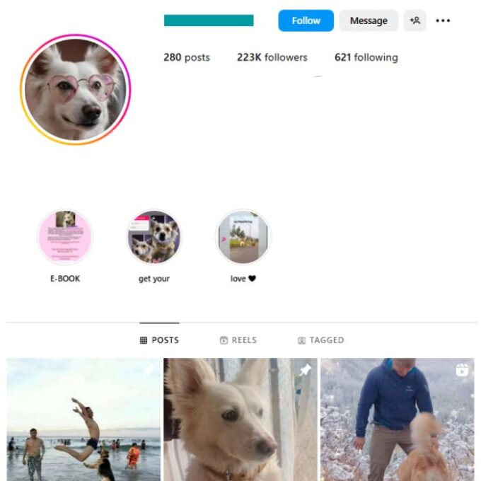 220K Dogs Pets Instagram Account for sale