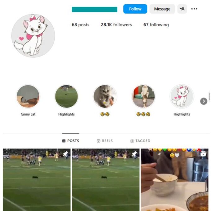 28K Cats Pets Instagram Account for sale