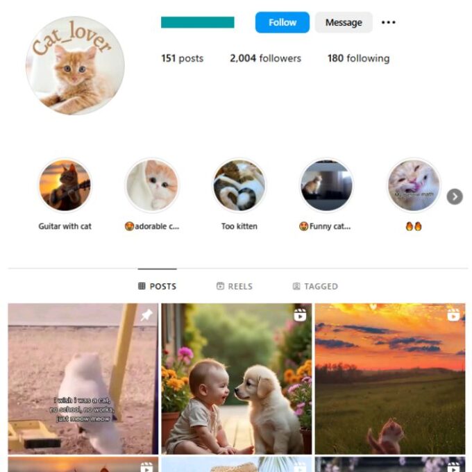 2K Cats Pets Instagram Account for sale