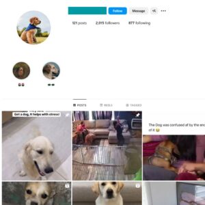 2K Dogs Pets Instagram Account for Sale