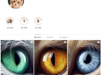 40K Pets Cats Instagram Account for Sale