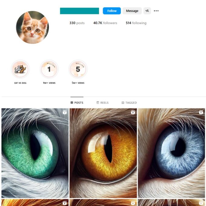 40K Pets Cats Instagram Account for Sale