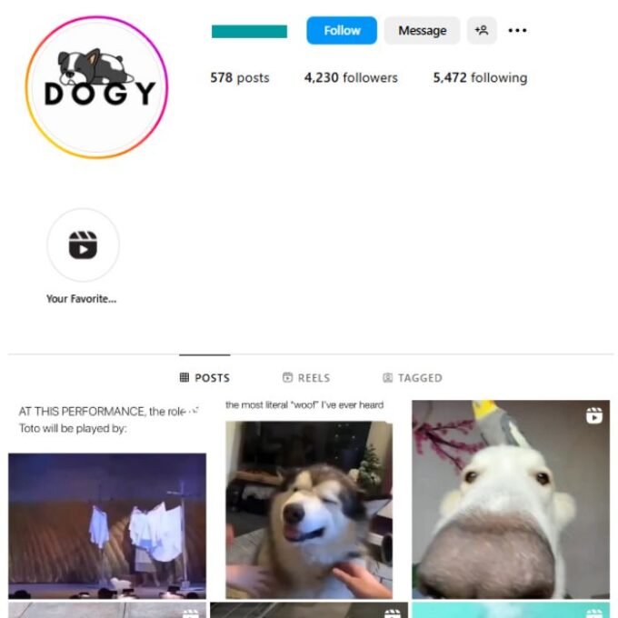 4K Pets Dogs Instagram Account for sale