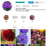 11K Nature Flowers Instagram Account for sale