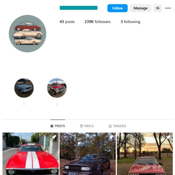 230K Classical Cars Instagram Account for sale