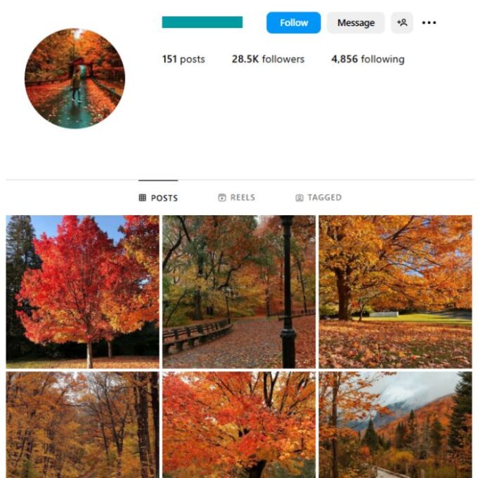 28K Autumn Nature Instagram Account for sale