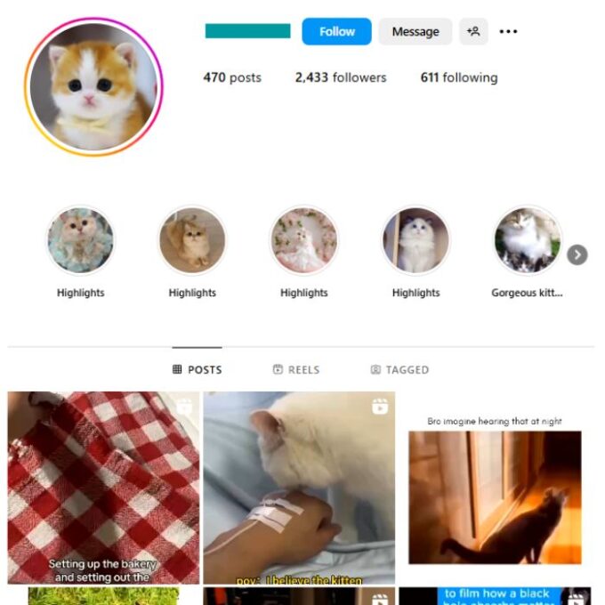 2K Kittens Cats Instagram Account for sale