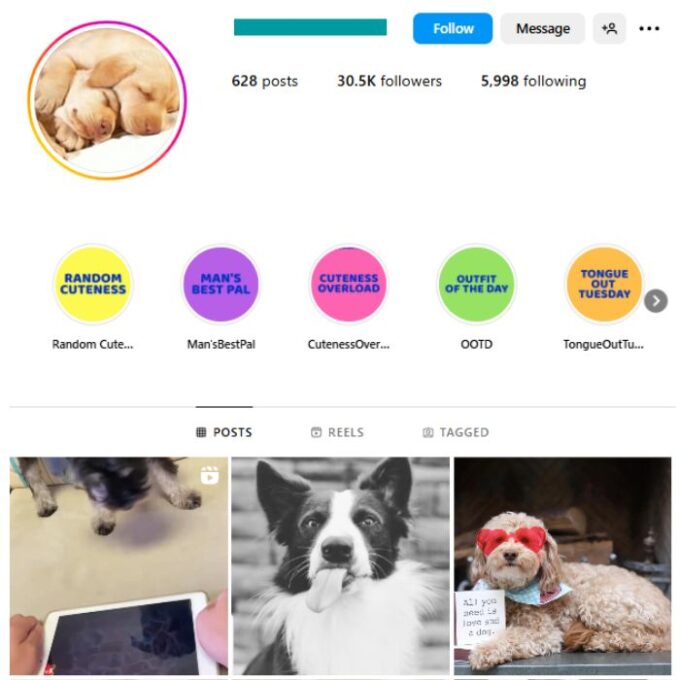 30K Pets Dogs Instagram Account for sale