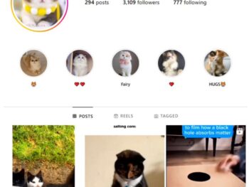 3K Cute Cats Instagram Account for sale
