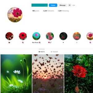 3K Nature Photography Instagram Account for Sale
