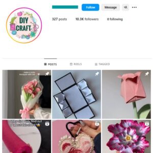 10K Flower Art Instagram Account for sale