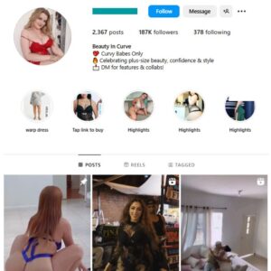 180K Adult Models Instagram Account for sale