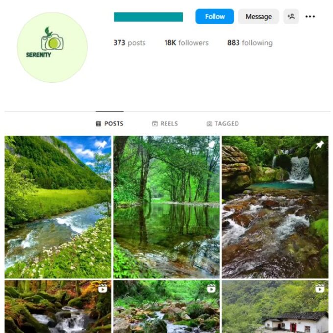 18K Nature Greenery Instagram Account for sale