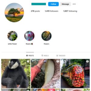 1K Animals Wildlife Instagram Account for sale