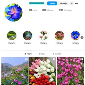 1K Beautiful Flowers Instagram Account for sale