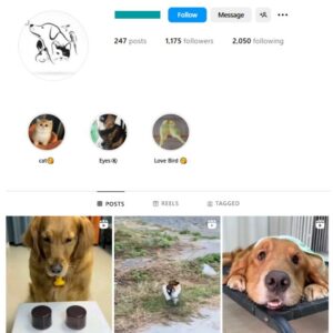 1K Dogs Pets Cats Instagram Account for sale