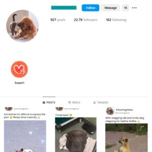 20K Viral Pets Dogs Instagram Account for sale