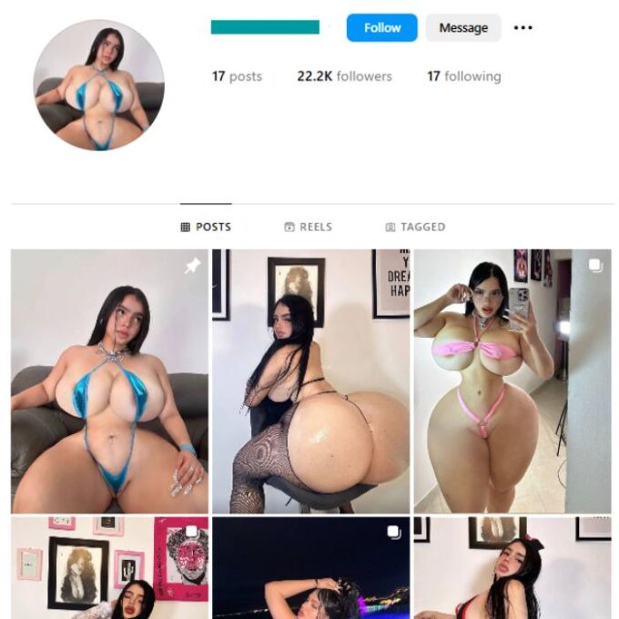 22K Adult Models Instagram Account for sale