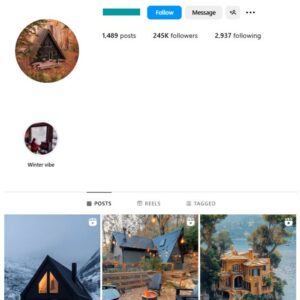 240K Cabin Tiny House Instagram Account for sale