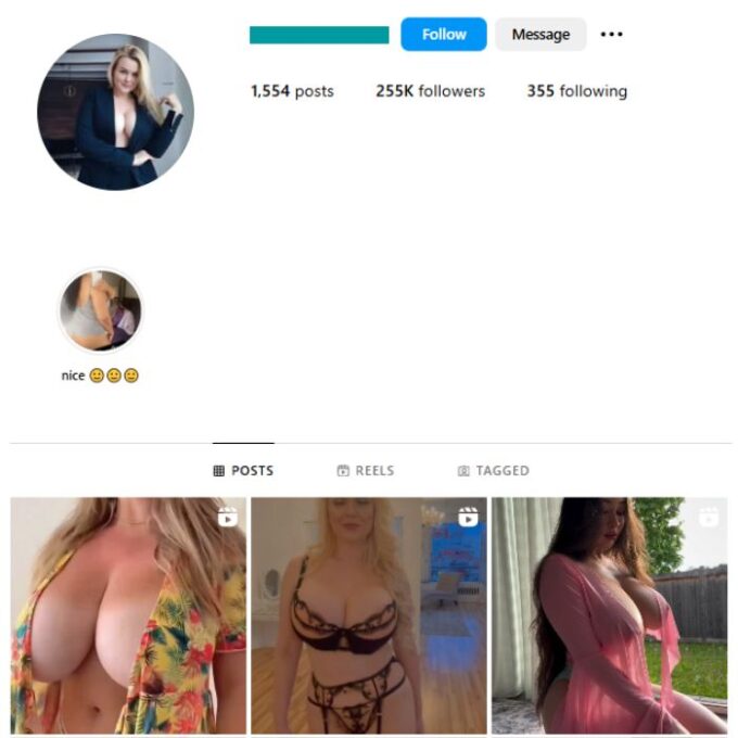 250K Girls Babes Instagram Account for sale