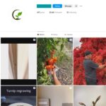 25K Plants Pot Gardening Instagram Account for Sale