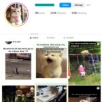 2K Cats Pets Instagram Account for sale