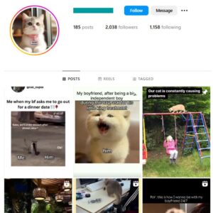 2K Cats Pets Instagram Account for sale