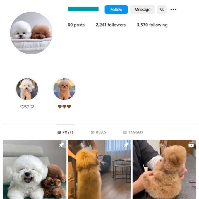 2K Cute Dogs Pets Instagram Account for sale