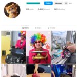 2K Pets Dogs Cats Instagram Account for sale