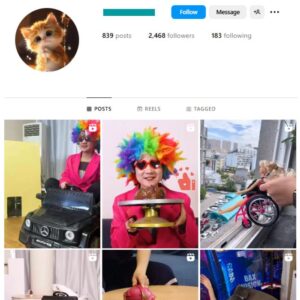 2K Pets Dogs Cats Instagram Account for sale