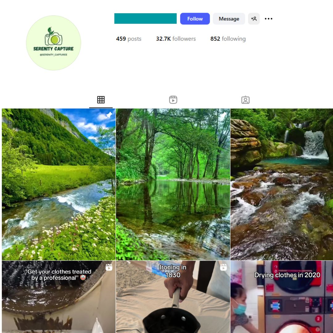 30K Nature Greenery Instagram Account for Sale