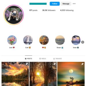 38K Nature Flowers Instagram Account for sale