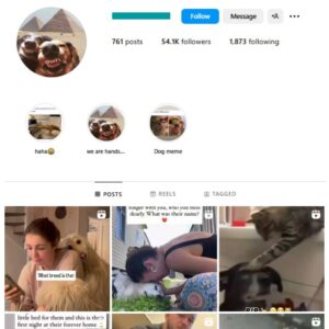 54K Pets Dogs Instagram Account for sale